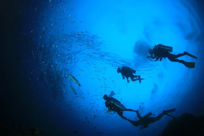 maldives-divers