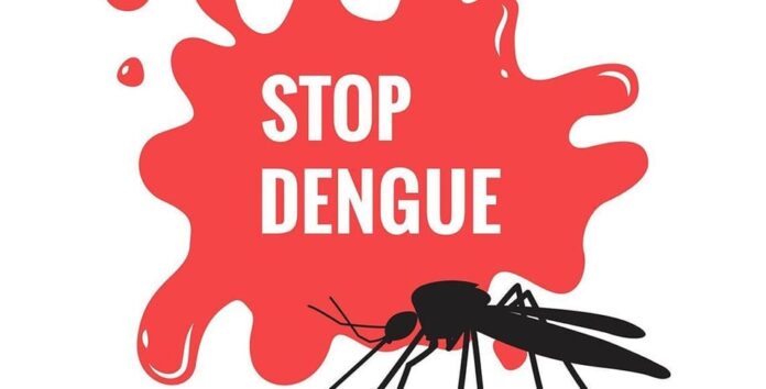 Stop Dengue