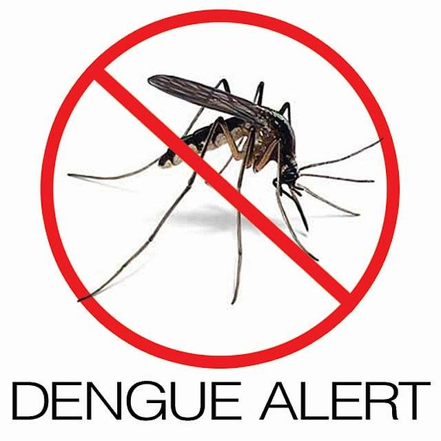 dengue-alert