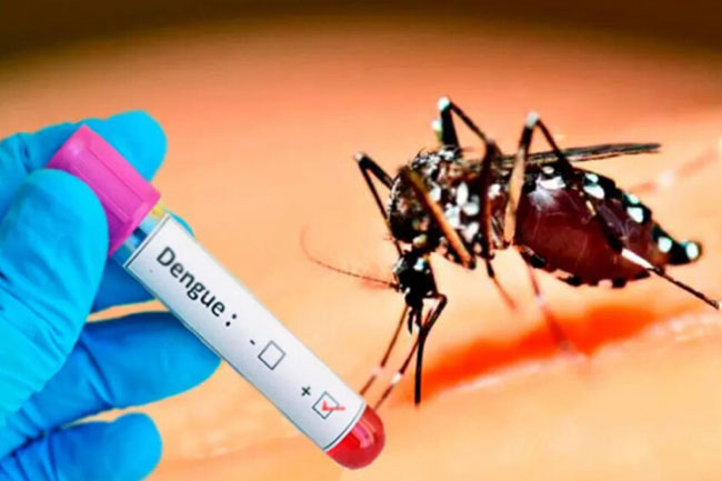 1710765397-dengue-6