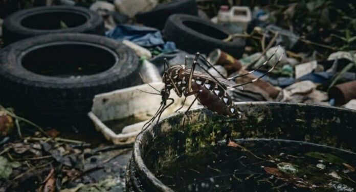 Dengue-839616-845173_850x460