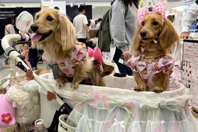 Japan Pets