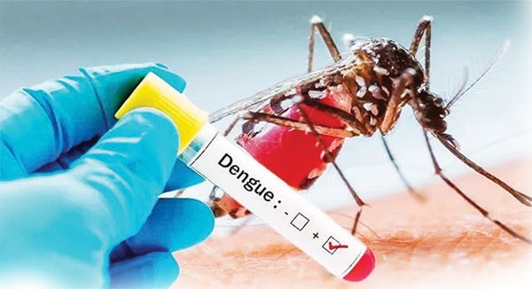 dengue