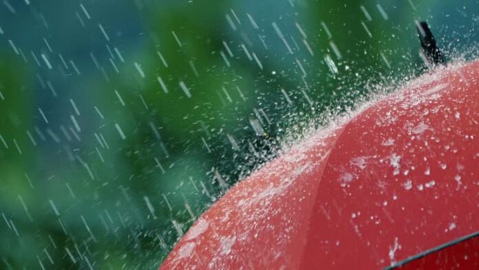istockphoto-1018792084-640x640