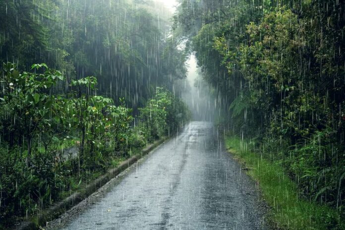 rain