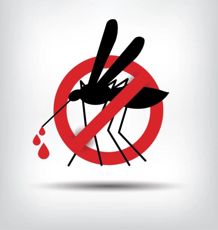 dengue