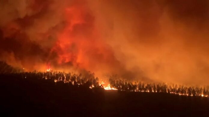 fire