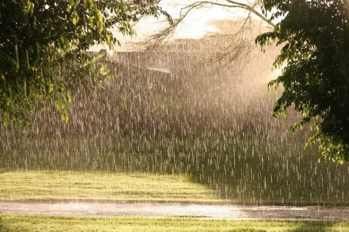rain