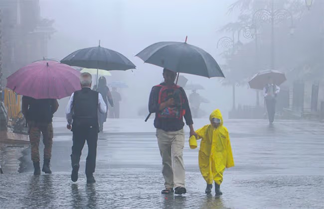 rain