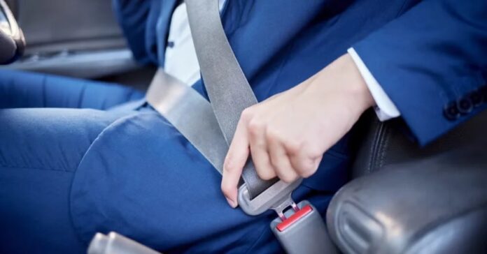 seat belt
