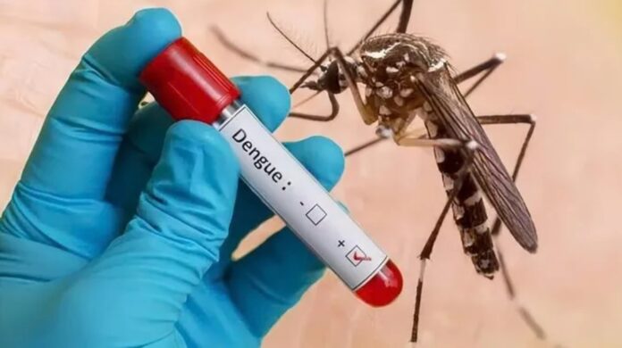 dengue