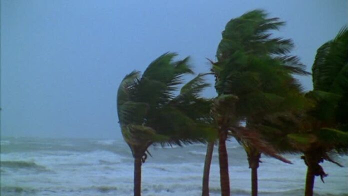sea and windy