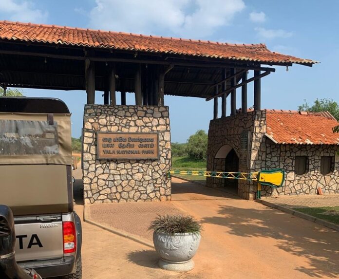 Yala-National-Park-1