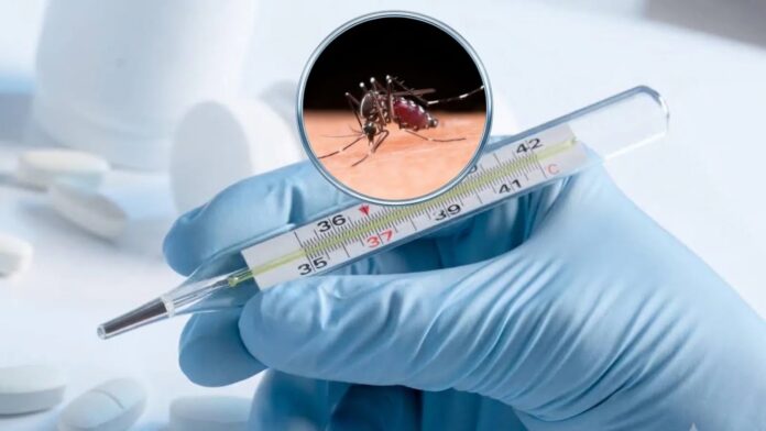 dengue