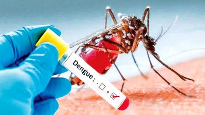 dengue