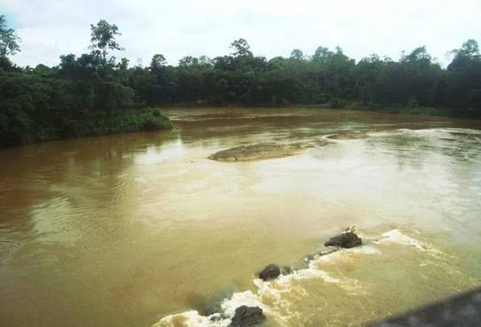 kalu gaga
