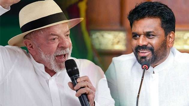 lula and anura