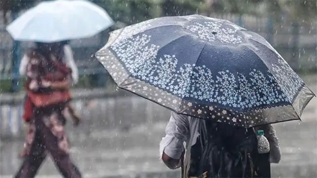 rain